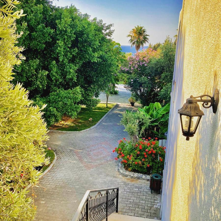 Bare Hill Holiday Apartments Krini Exterior photo