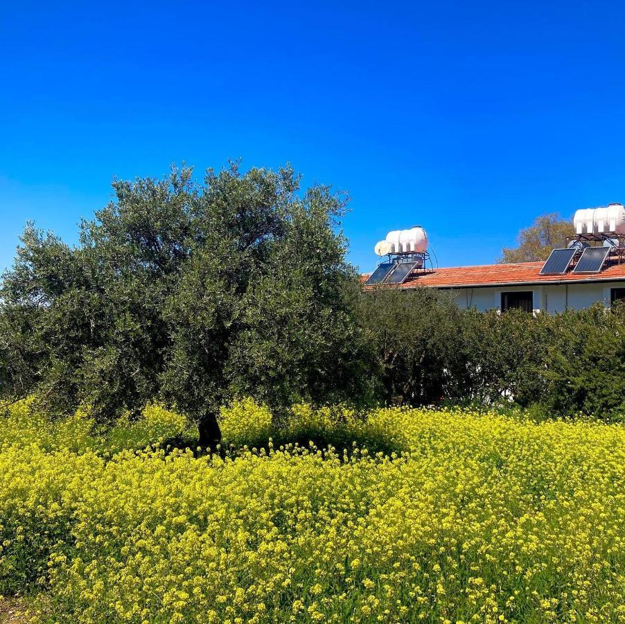 Bare Hill Holiday Apartments Krini Exterior photo